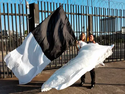Un sueño hecho realidad: Pareja de recién casados llega al Estadio Monumental para celebrar junto a Colo-Colo