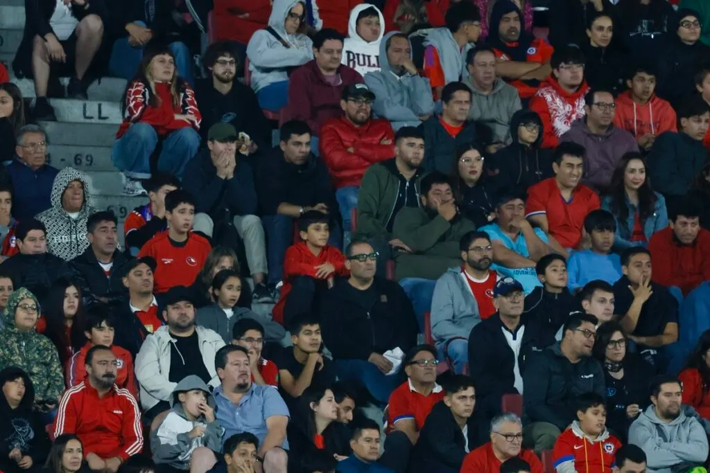 Fanáticos de La Roja