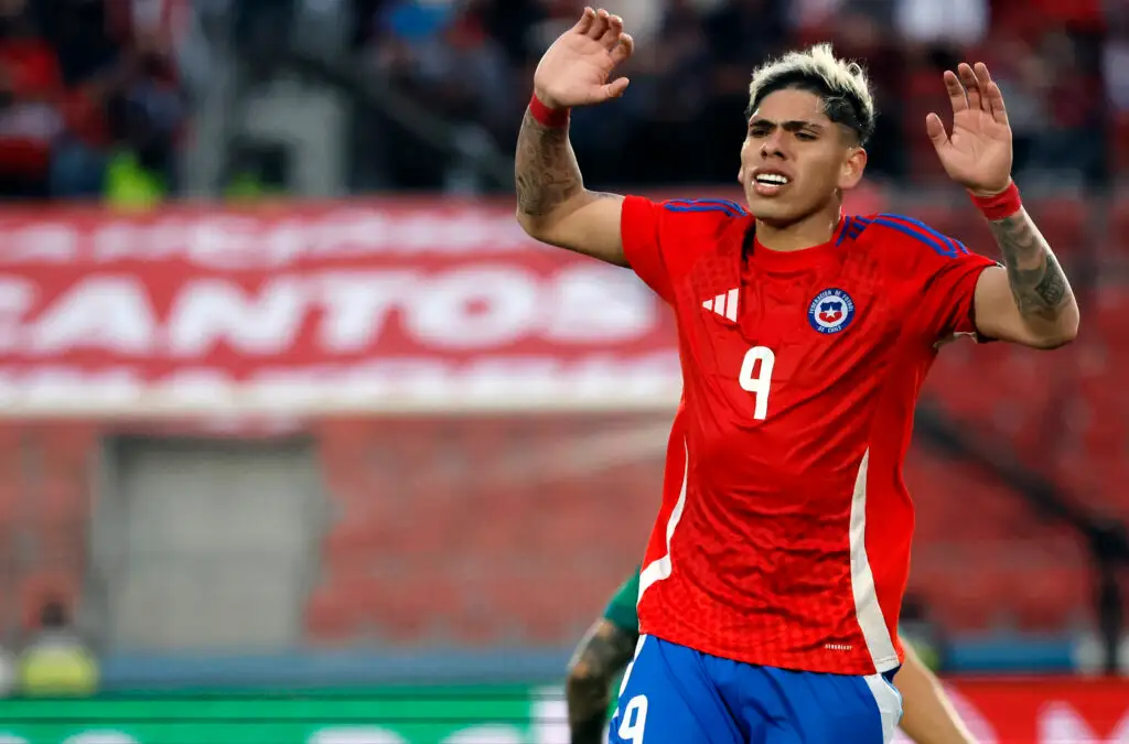 Carlos Palacios pidió ser liberado de la Selección Chilena.