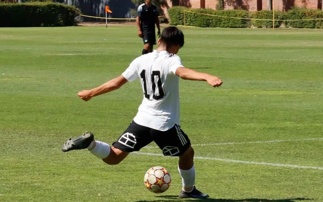 Colo-Colo Oficial