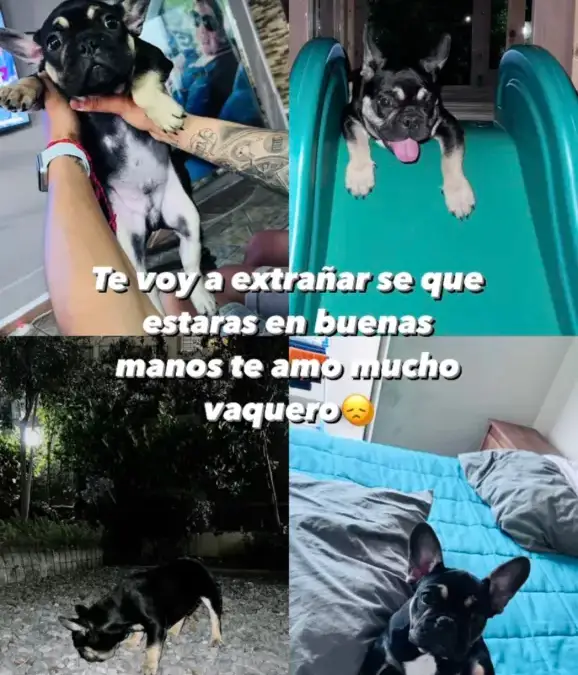 Pantallazo historia publicada por Jordhy Thompson en su cuenta de Instagram.