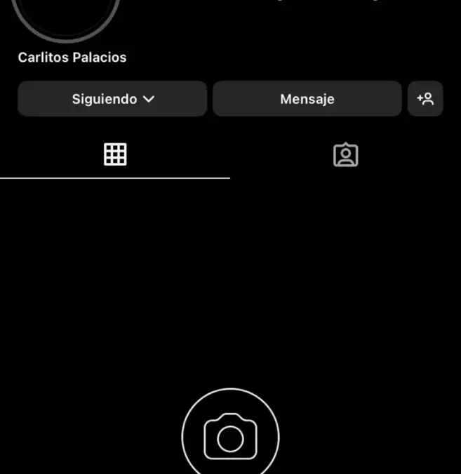 Pantallazo perfil de Instagram de Carlos Palacios.