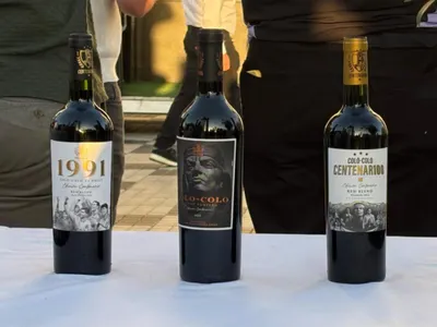 Fecha de salida confirmada: Colo-Colo lanza línea de vinos para celebrar el centenario del club