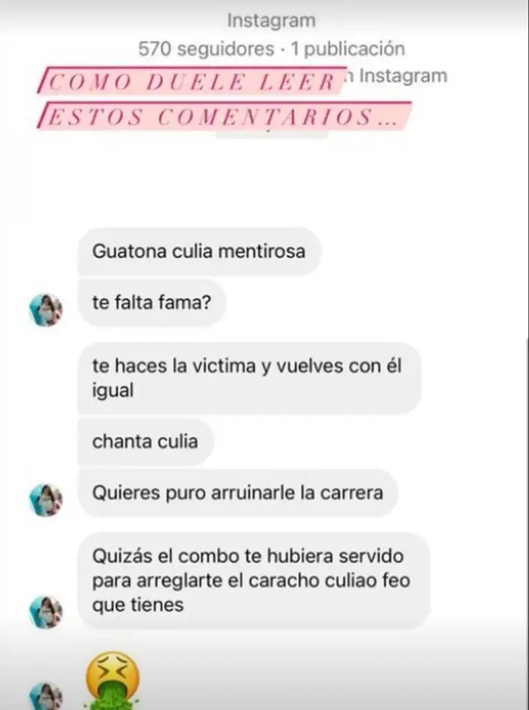 Uno de los mensajes que recibió Camila Sepúlveda.