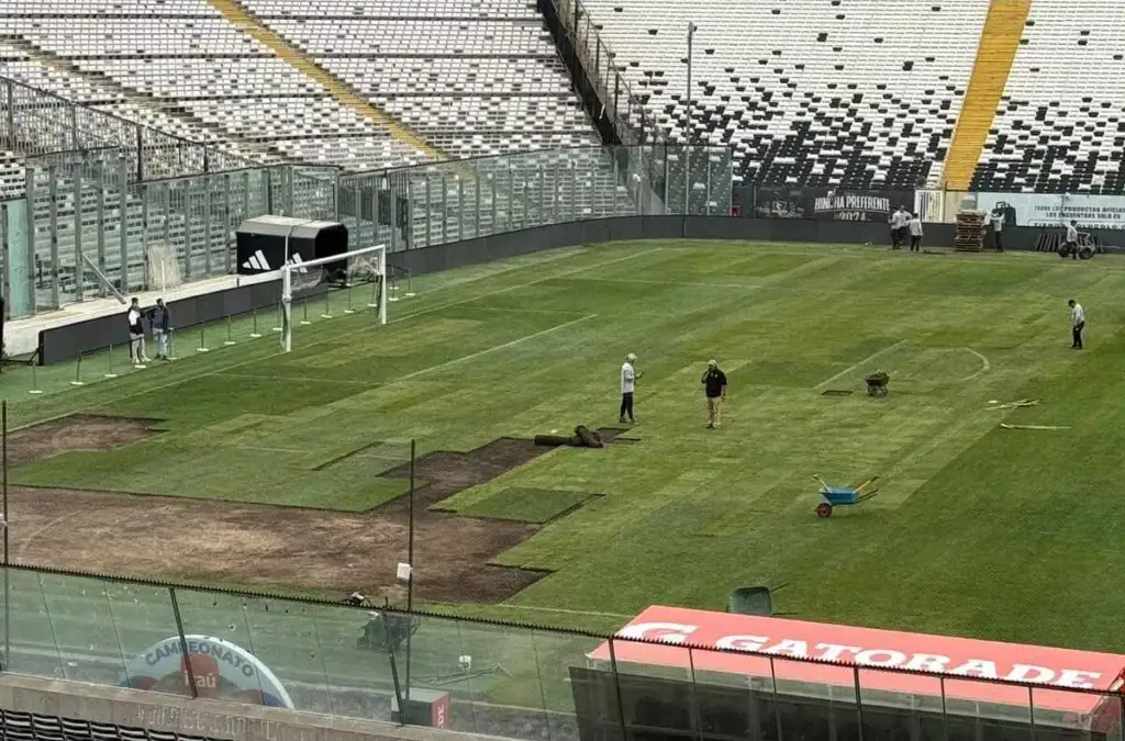 La cancha principal del Estadio Monumental está recibiendo un intenso trabajo para recuperarla.