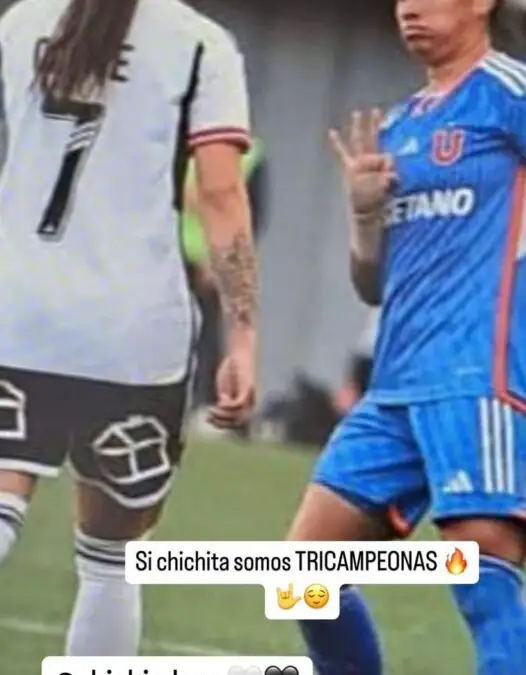 Javiera Grez a través de Instagram stories.