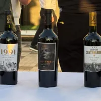 Fecha de salida confirmada: Colo-Colo lanza línea de vinos para celebrar el centenario del club