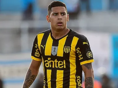 «Se muere de ganas por jugar en Colo-Colo»: Revelan la voluntad de delantero sondeado como refuerzo