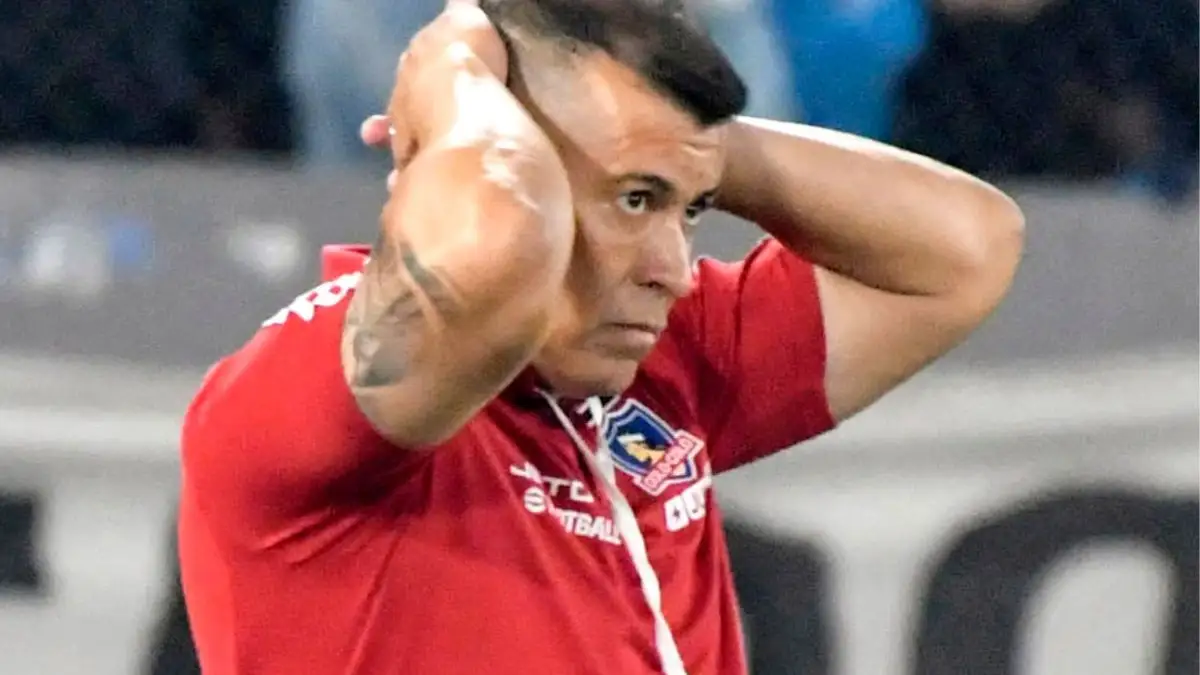 El Cacique buscará su revancha en el continente para la próxima temporada