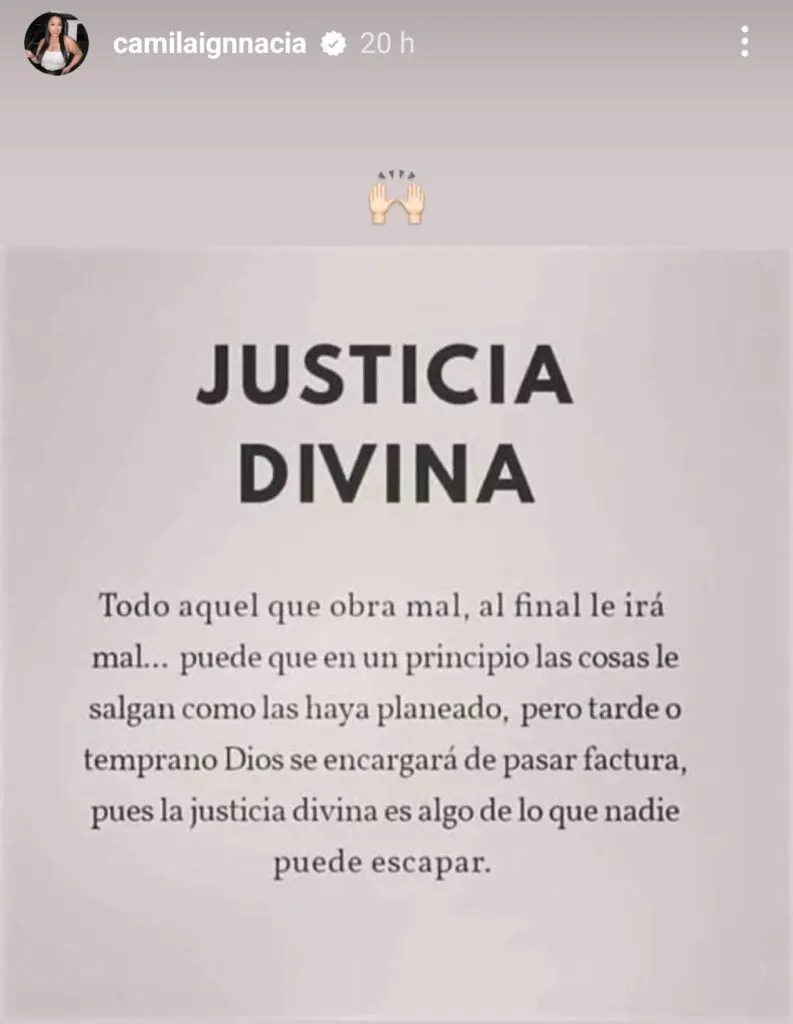 Historia de Instagram subida por Camila Sepúlveda.