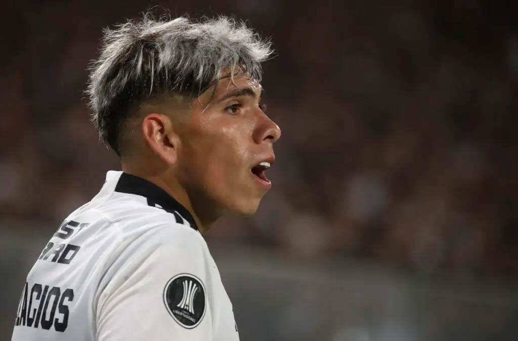 Carlos Palacios recibió las críticas de los hinchas de Colo-Colo.