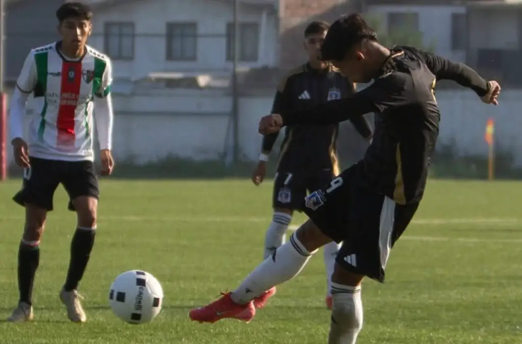 Colo-Colo perdió frente a Palestino por la Copa Futuro Sub 20.